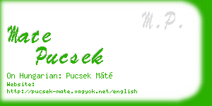 mate pucsek business card