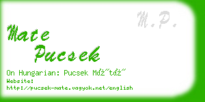 mate pucsek business card